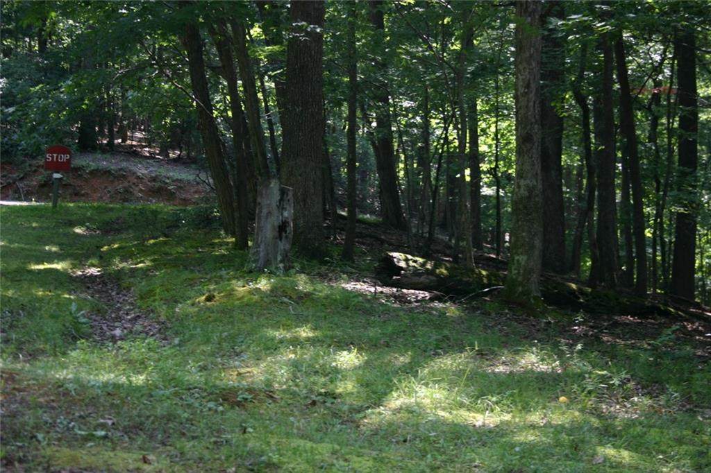 3583 Ripple Creek Court - Photo 1
