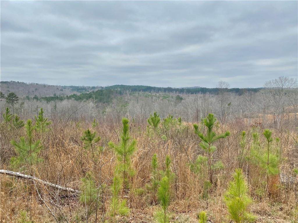 1068 Suttles Road - Photo 1