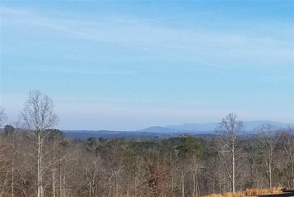 1197 Big Ridge Road - Photo 1