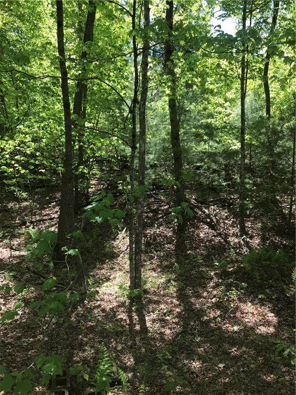 0 Fox Run Lane - Photo 1