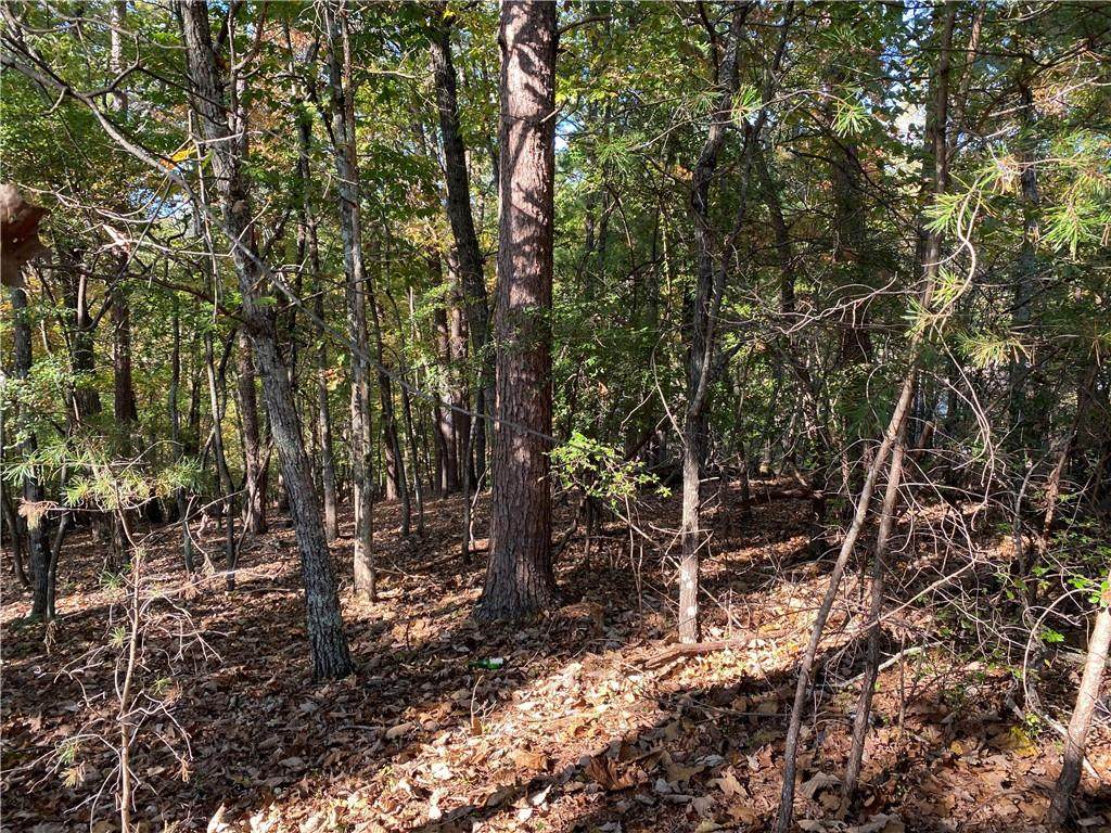 17 Crown Mountain Way - Photo 1