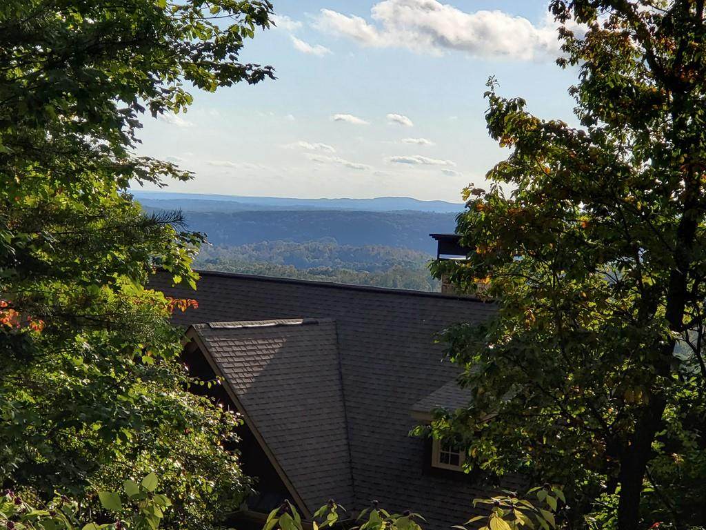 8269 Cox Mountain Lane - Photo 1
