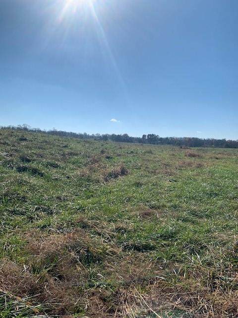 0 Boone Ford Road - Photo 1