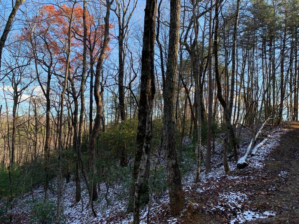 3 35 Parker Run Road - Photo 1