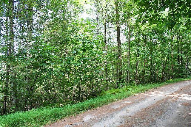 00 Yahoola Indian Trail - Photo 1
