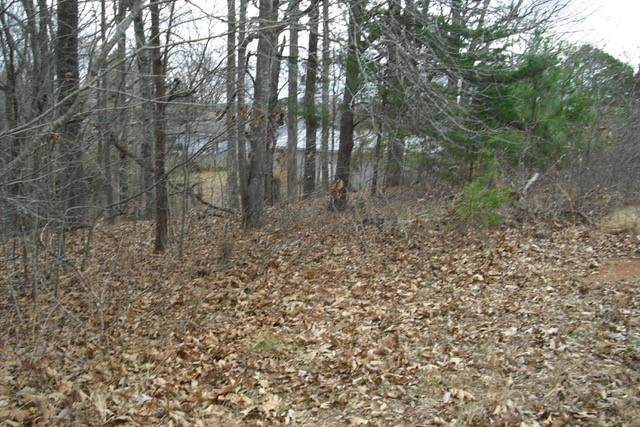 2536 Vaughandale Circle - Photo 1