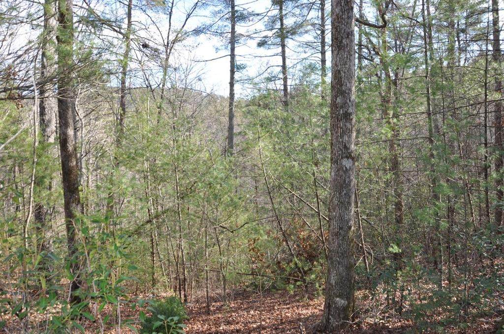 5588 Black Bear Point - Photo 1