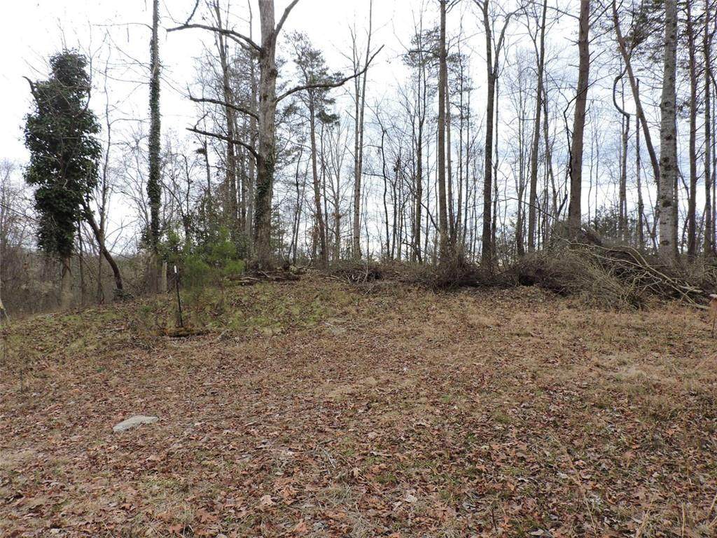 6232 Grant Ford - Photo 1