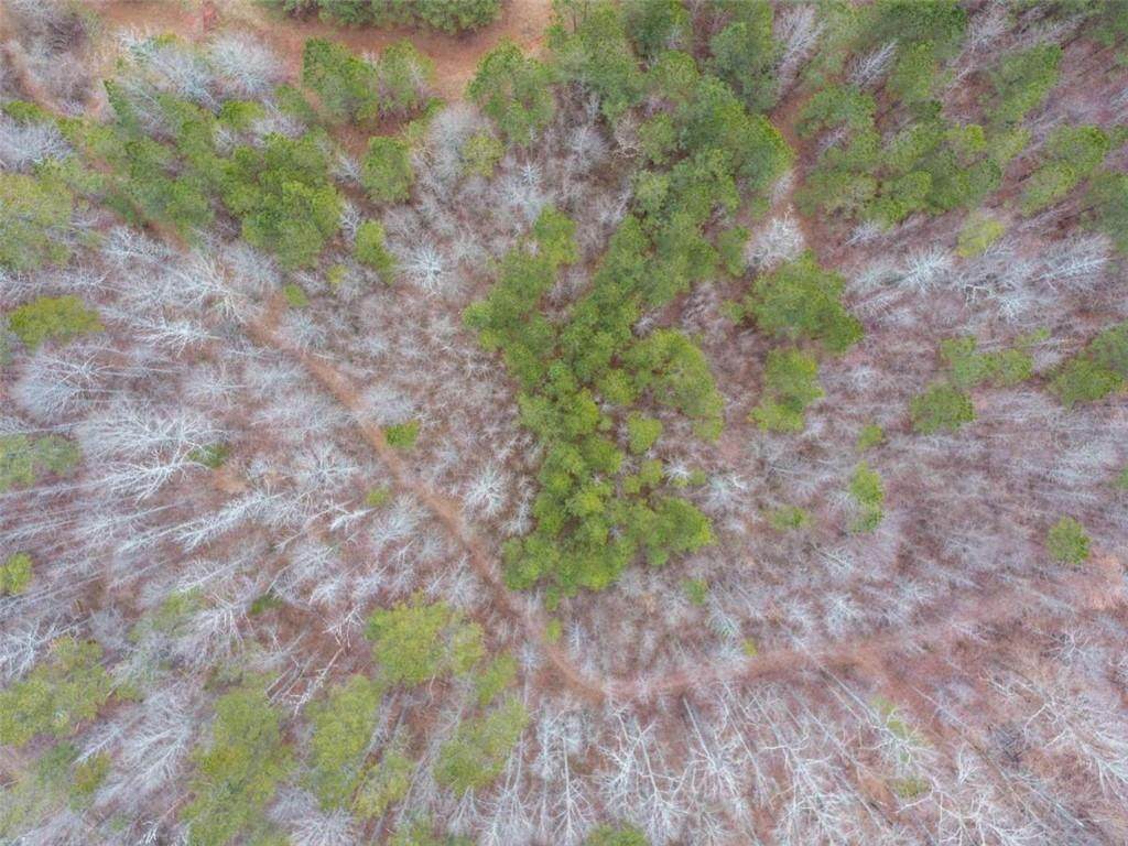 00 Whooping Creek Road - Photo 1