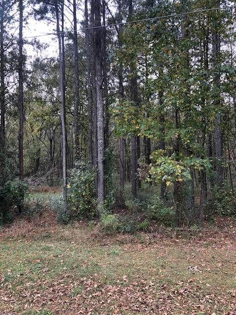 130 Branson Road - Photo 1