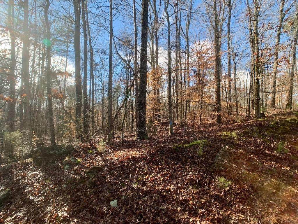 0 Conley Ditch Road - Photo 1