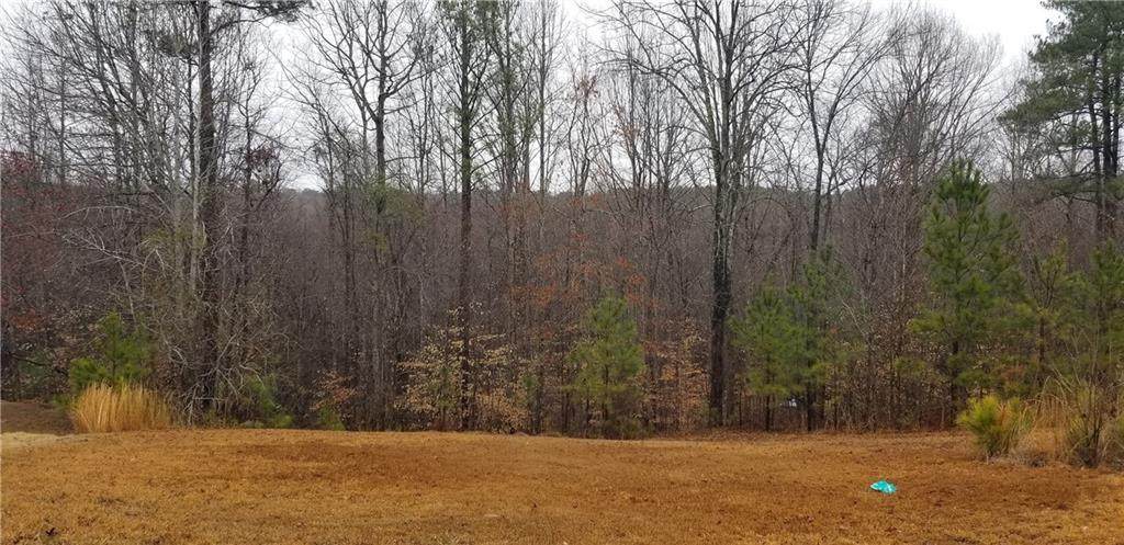 56 Creekside Point - Photo 1