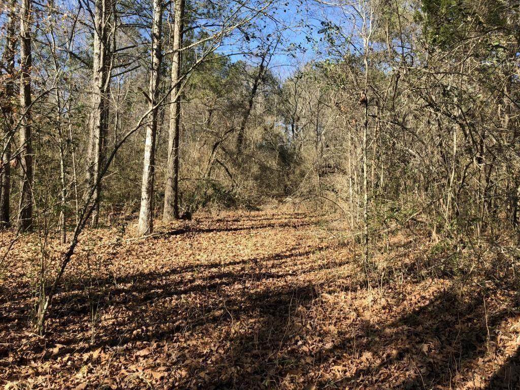 0 Holly Springs Road - Photo 1
