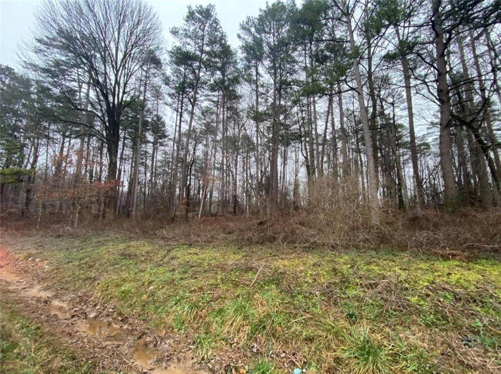 6854 County Line Road - Photo 1
