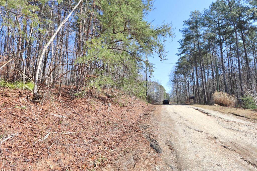 0 Cardinal Lane - Photo 1