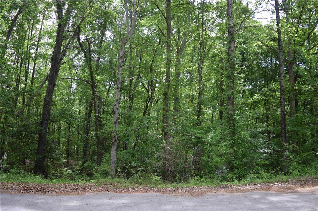 0 Carter Lane - Photo 1