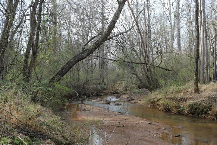 0 Cascade Palmetto Highway - Photo 1