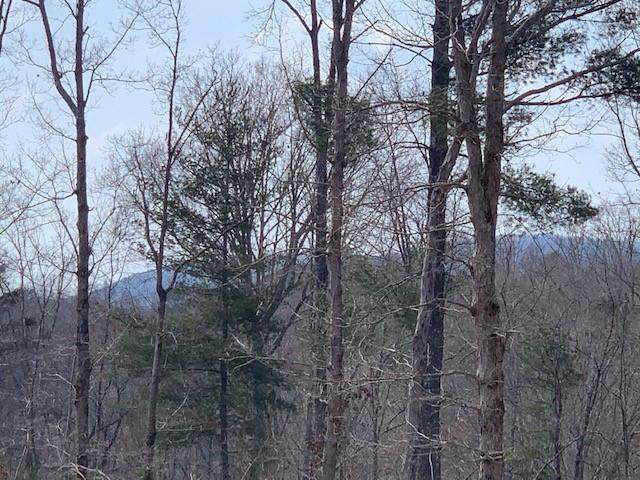 866 Crossroads Church Road - Photo 1