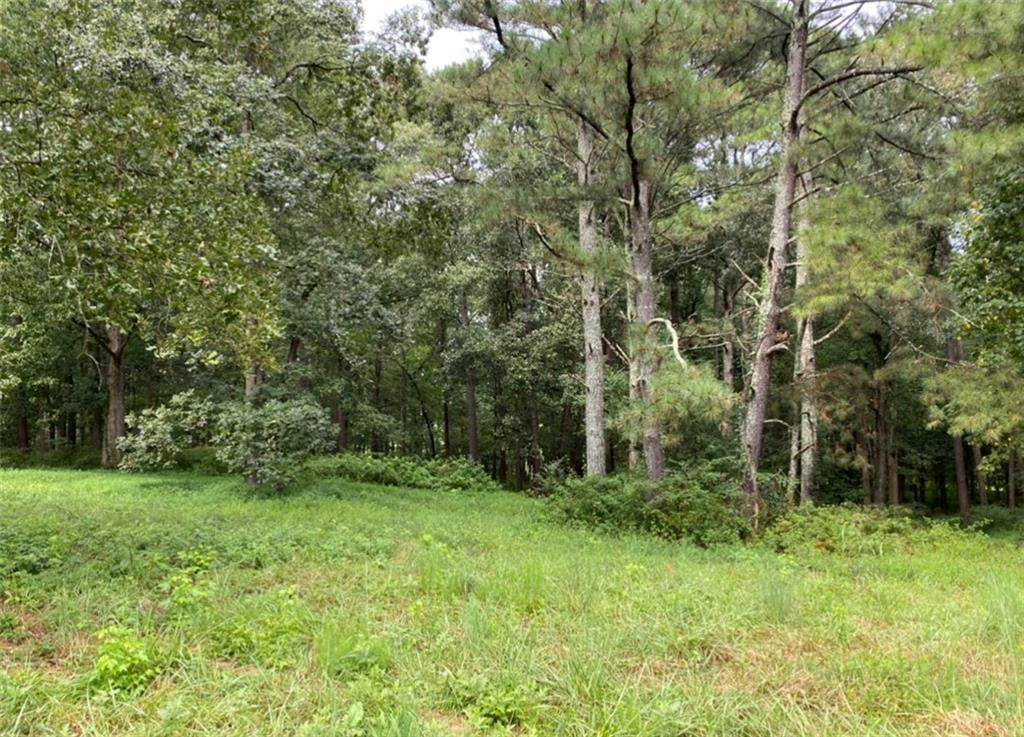 00 Tract 3 Chamblee Gap Road - Photo 1