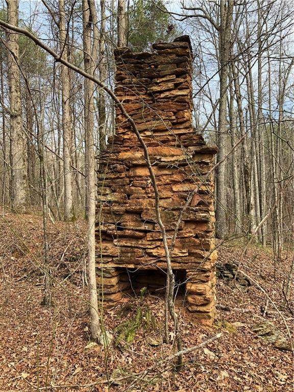 19 Sharp Mountain Parkway - Photo 1