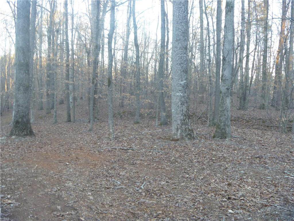 0000 Hickory Road - Photo 1