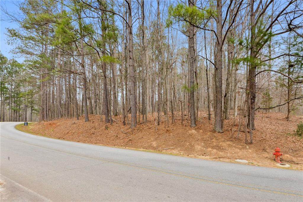 0 Astin Creek Road - Photo 1