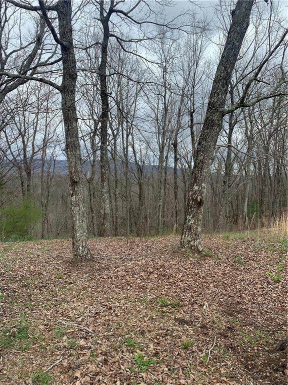 n/a Burnt Mountain - Photo 1