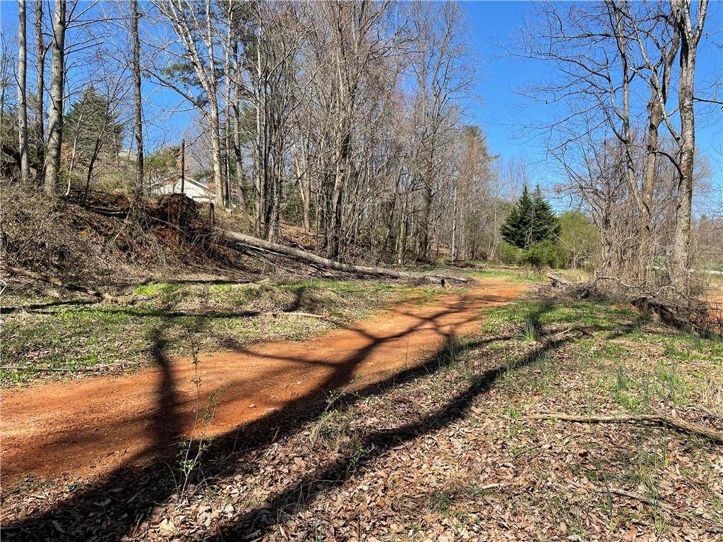 645 Nimblewill Church Road - Photo 1
