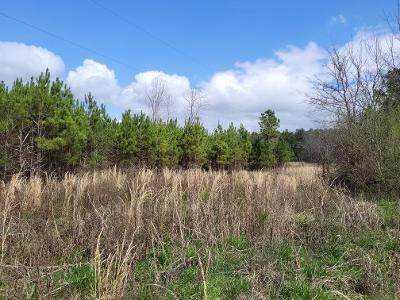 0 County Road 101 - Photo 1