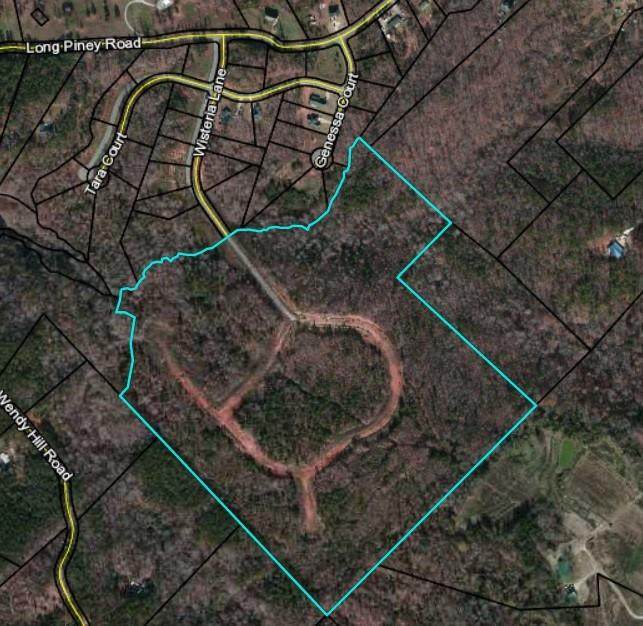 0 Long Piney Road - Photo 1