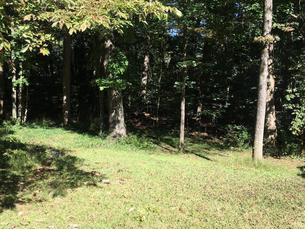 101 Sherwood Lane - Photo 1