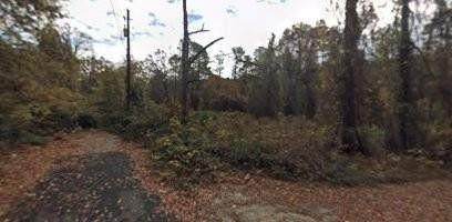 2031 Old River Road - Photo 1