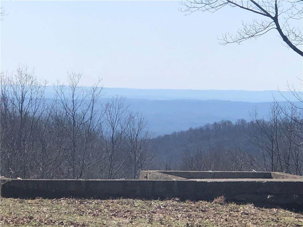 2764 Monument Road - Photo 1