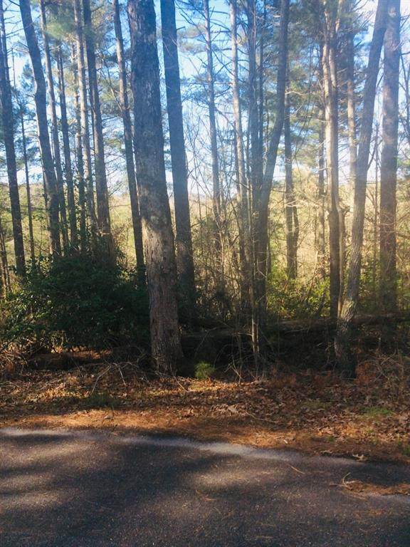 9306 Redbud Pass - Photo 1