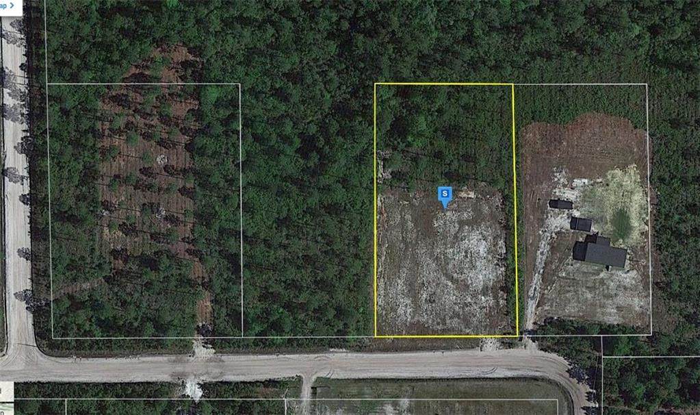 0 Pine Forest Road - Photo 1