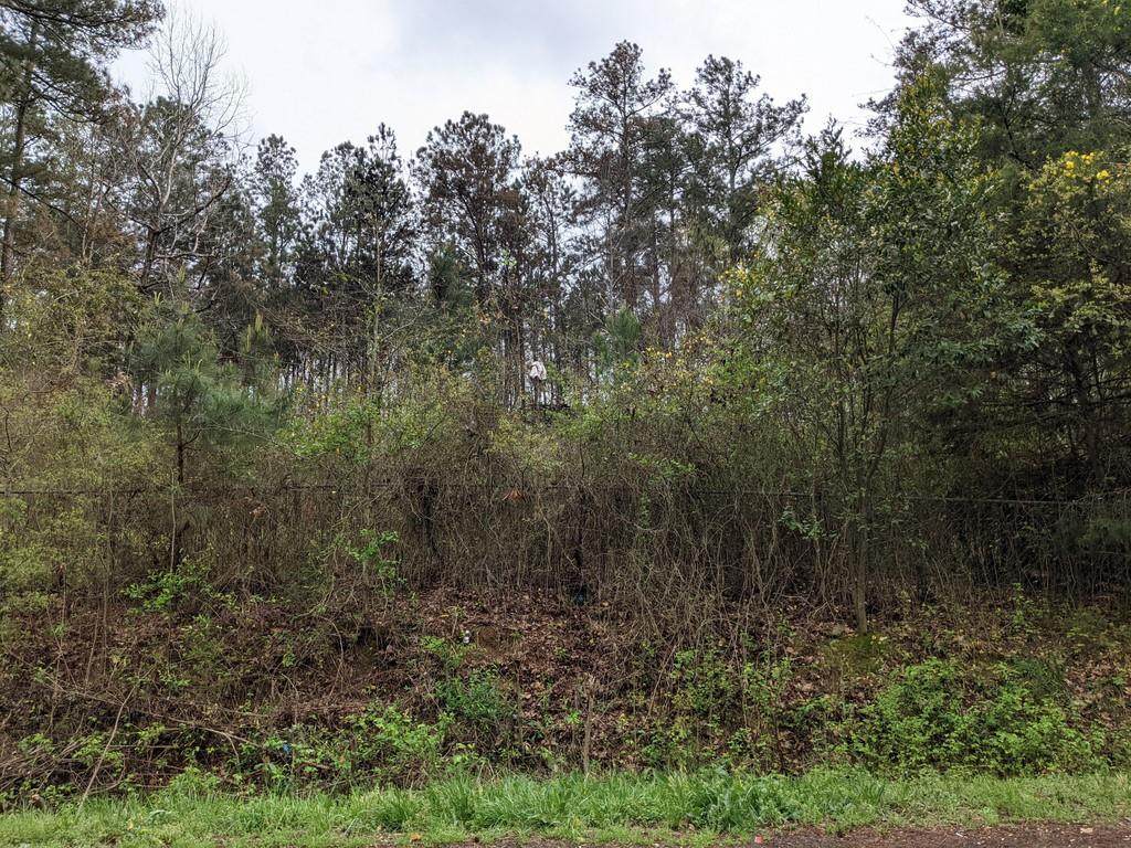 236 Pine Hill Road - Photo 1