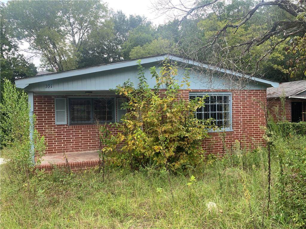 391 Albert Lane - Photo 1