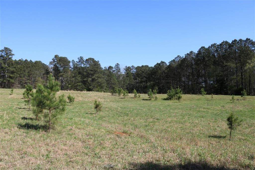 7220 Ono Road - Photo 1