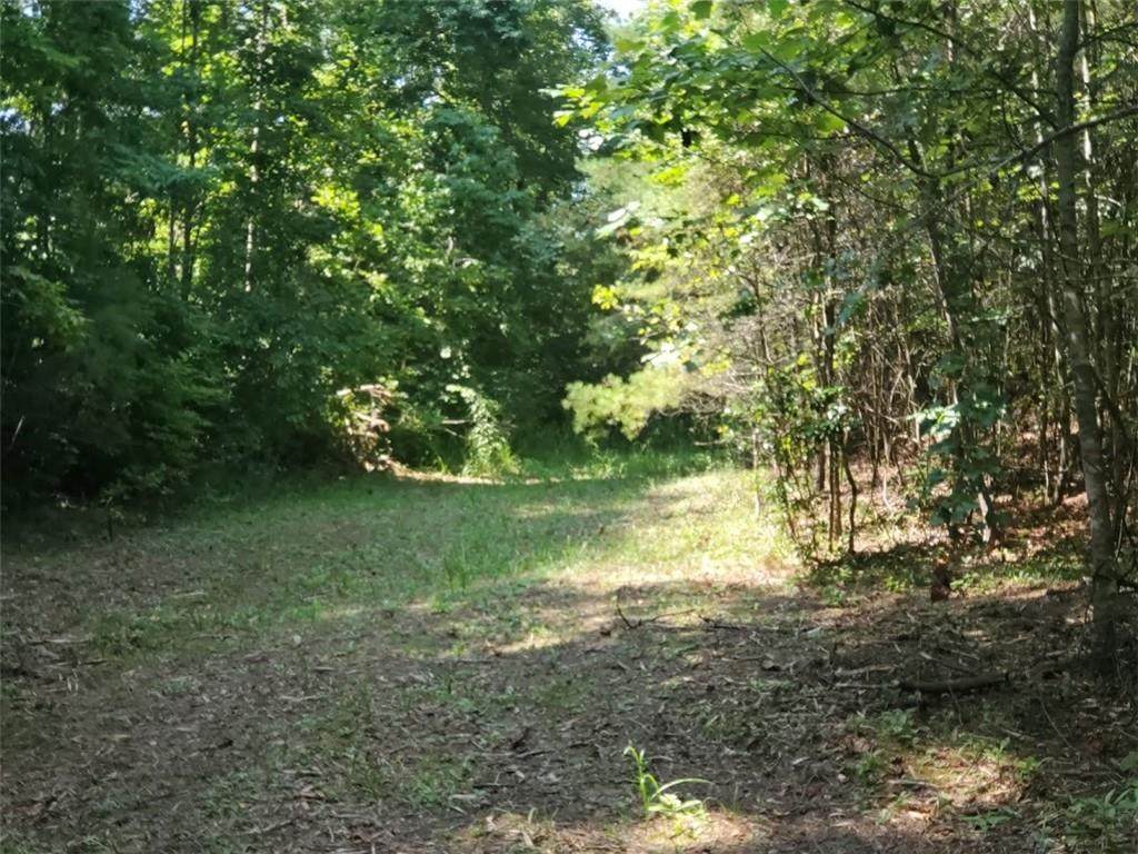248 Chestnut Ridge - Photo 1
