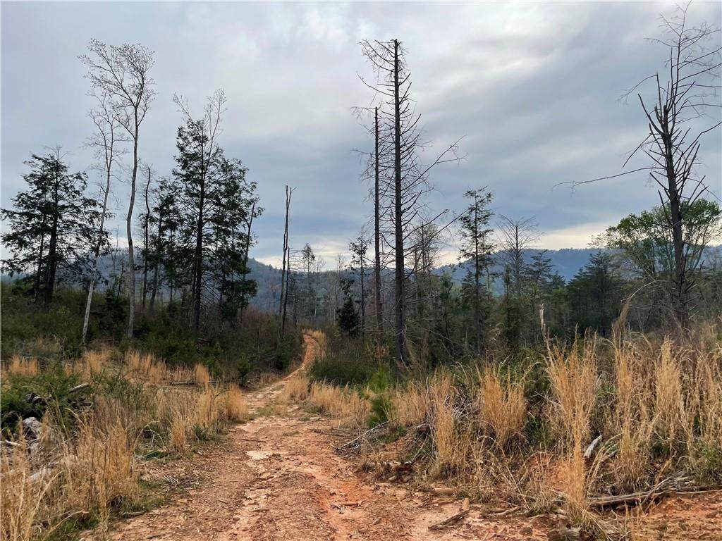 0 Pack Creek Road - Photo 1