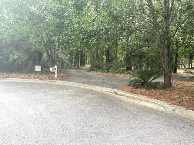 7 Ramblewood Circle - Photo 1