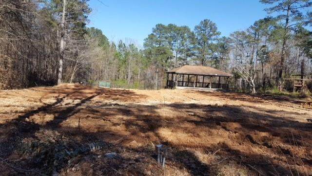3064 Rockbridge Road - Photo 1