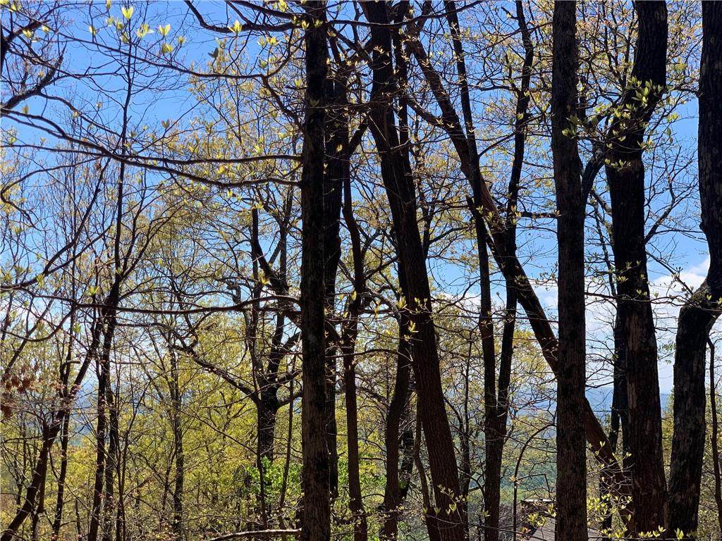 16 Shiloh Road - Photo 1