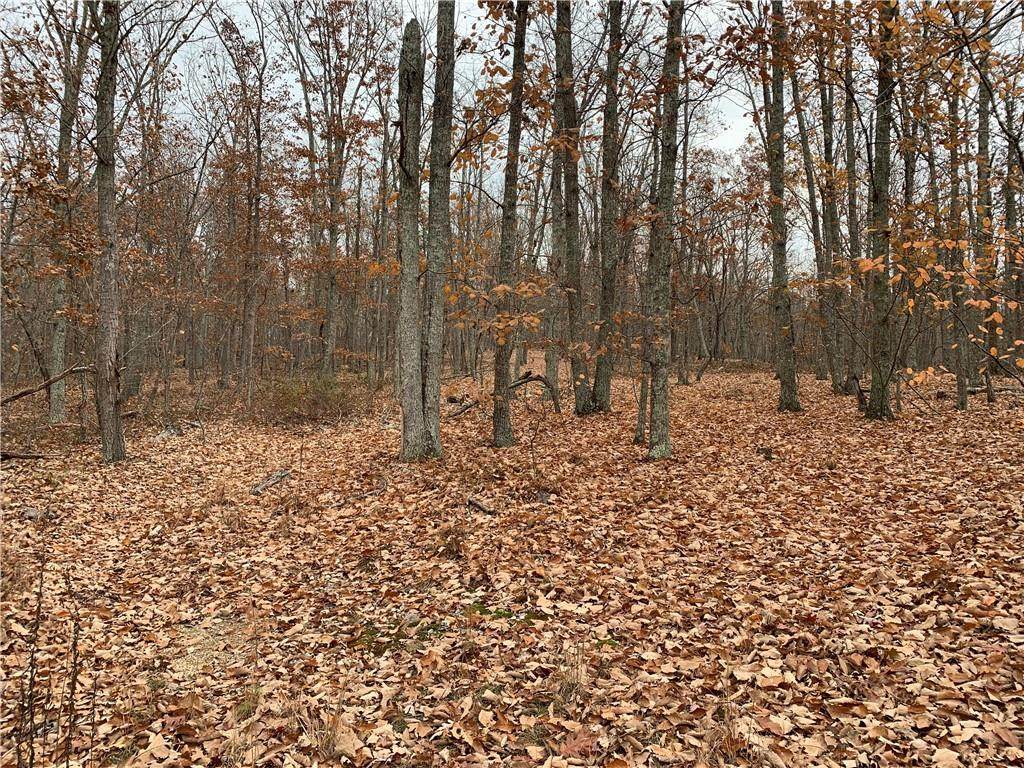 500 Snow Springs Church Road - Photo 1