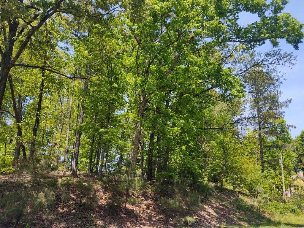 840 Whitehead Rd - Photo 1