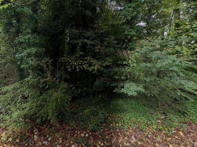 0 Waterford Road - Photo 1