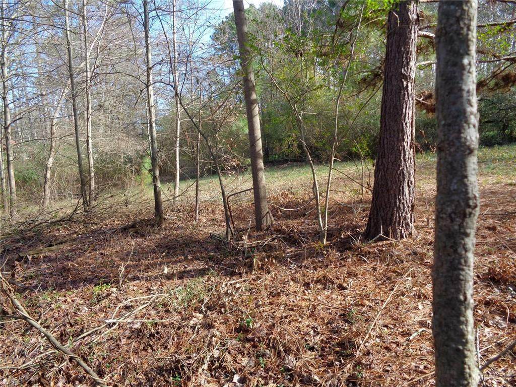 141 Michaela Drive - Photo 1