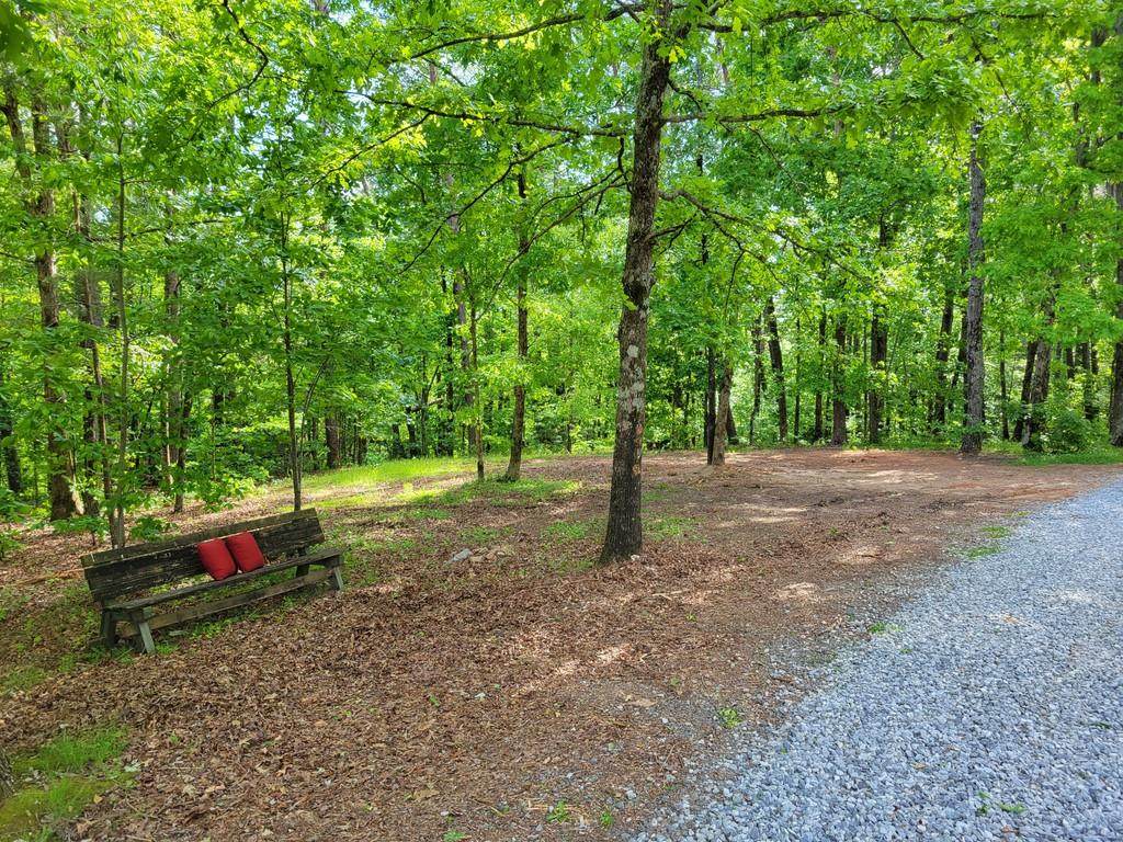 0 Thornblade Trail - Photo 1