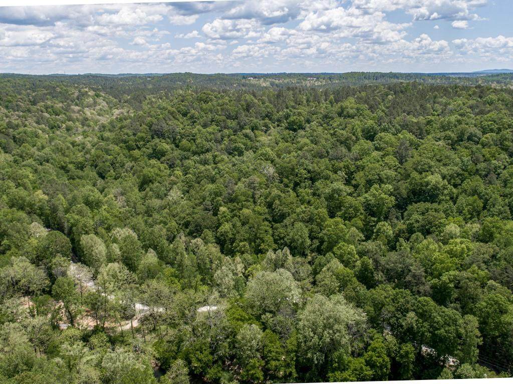 1475 Cherokee Gold Trail - Photo 1