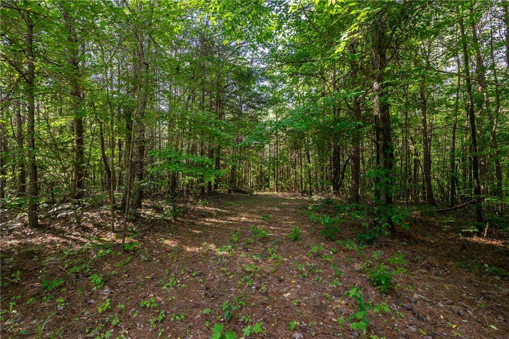 0 Long Branch Trail - Photo 1
